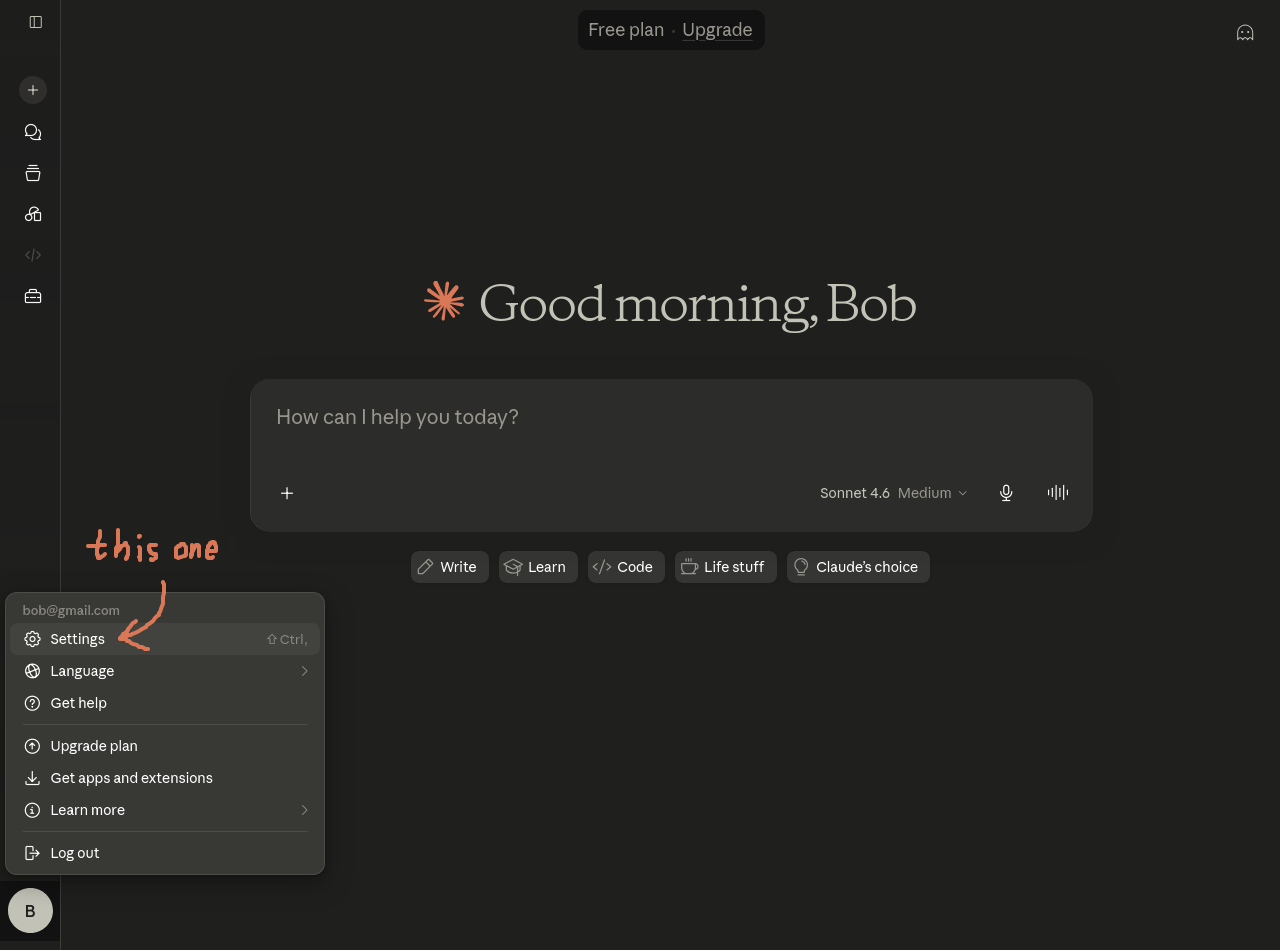 Screenshot, Chat Screen, Highlighted Settings Button
